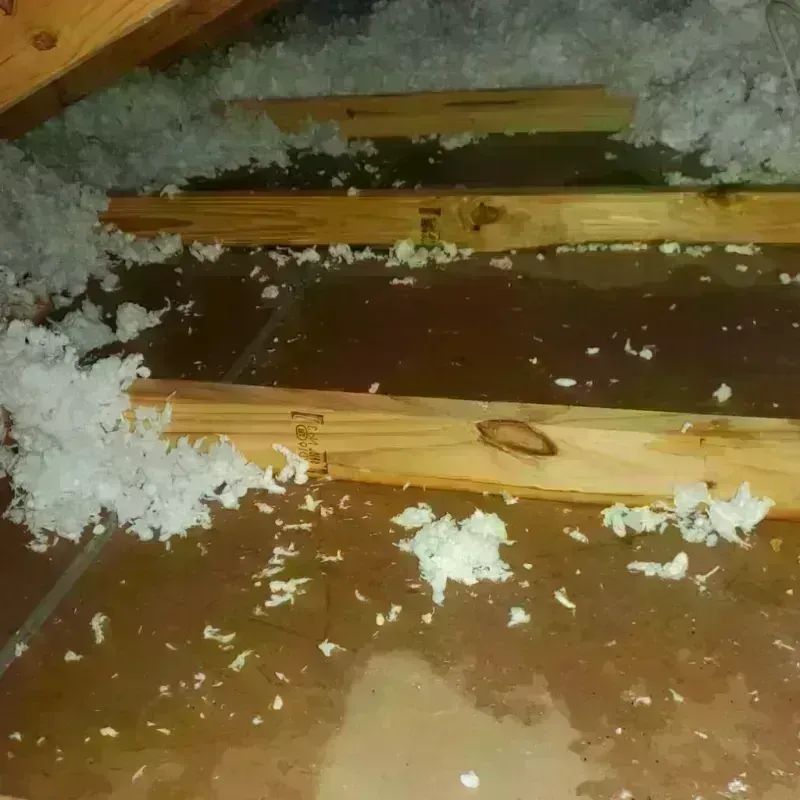 Attic Water Damage in Monroe County, IN