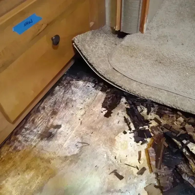 Best Wood Floor Water Damage Service in Monroe County, IN